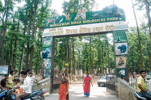 Birsa Zoological Park near Ranchi